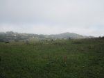 IMG_2787.JPG