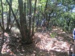IMG_2825.JPG