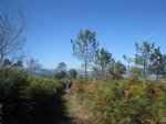 IMG_2828.JPG