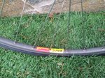 IMG-20130922-WA0006.jpg