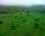 DSC00059.jpg