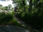 btt070519_02.jpg