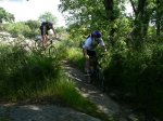 btt070519_03.jpg