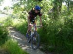 btt070519_04.jpg