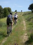 btt070519_09.jpg