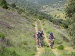 btt070519_10.jpg