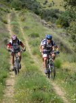 btt070519_11.jpg