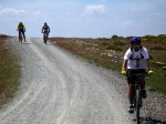 btt070519_14.jpg