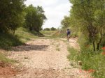 DSC01796.jpg