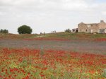 DSC01793.jpg