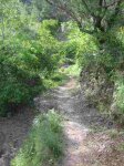 IMG_26650.jpg