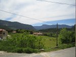 IMG_2675.JPG