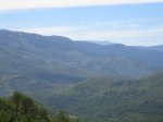 IMG_2679.JPG