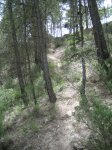 IMG_2687.JPG
