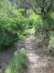 IMG_2665.jpg