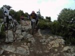 tartareu 07 020.jpg