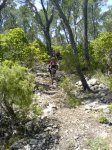DSC01806.JPG
