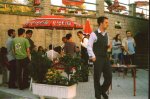 fotos 278 (Small).jpg