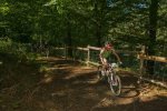 IMGP7051 -tr.jpg