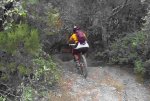 vlcsnap-2013-09-28-15h12m10s239.jpg