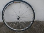 CAM00640.jpg