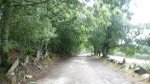 IMGP8053 (Copiar) (Copiar).JPG