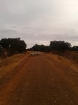2013-09-29 09.07.20.jpg