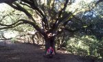 20130929_095319.jpg