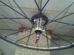 IMG-20130927-WA0001.jpg