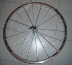 delantera2.JPG