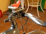DSCN1031.JPG