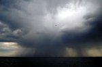 dsc0887o.jpg