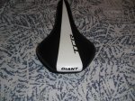 sillin giant 002.JPG