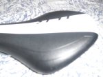 sillin giant 003.JPG