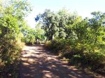 ruta_02.jpg