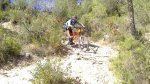 DSC_0127.jpg