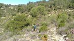 DSC_0076.jpg