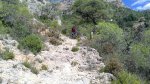 DSC_0096.jpg