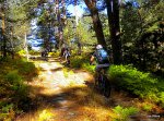 DSCN5115.JPG