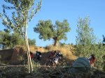 IMG_3262.JPG