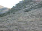 IMG_3265.JPG