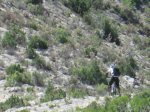 IMG_3343.JPG