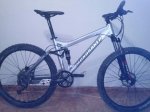 MONDRAKER.jpg