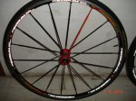 DSC03789.JPG