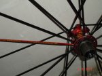 DSC03794.JPG