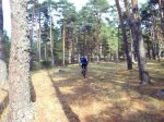 Foto30.JPG