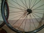 IMG-20131007-WA0001.jpg