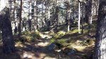 20131006_115422.jpg