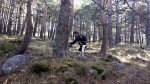 20131006_115427.jpg