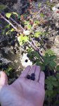 20131006_121428.jpg